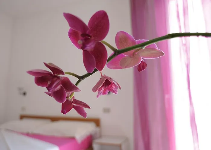 Solemare E * מיסאנו אדריאטיקו